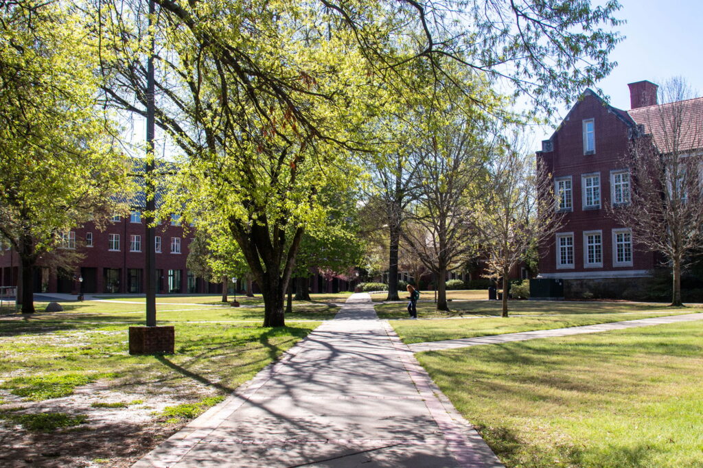 Trees and sidewalks on the Hendrix College campus.