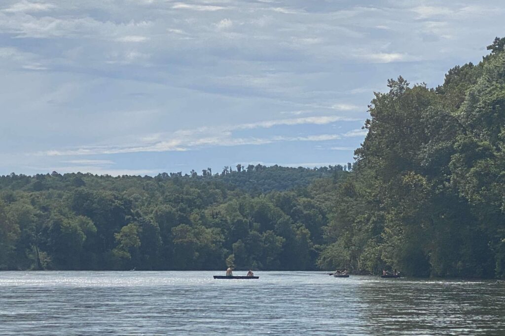 Canoes on a river that is surrounded on both sides by forest.