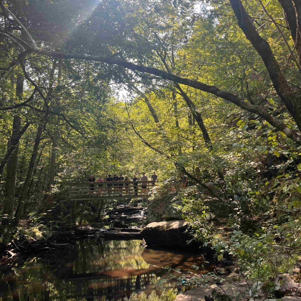 A group of students standing on a bridge over a stream in a forest.