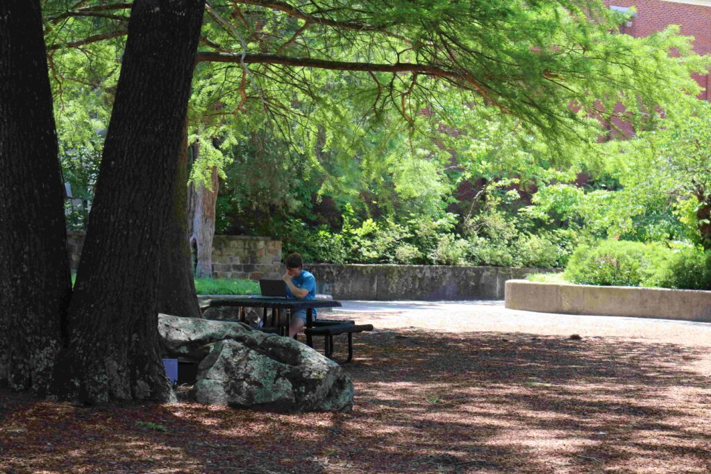 A student uses a laptop while sitting at a picnic table under a tree.